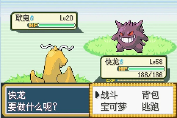 口袋妖怪火红版本,确保问题说明 标配版_v10.217