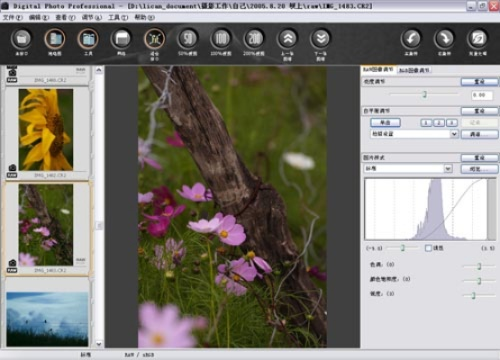 dpp官方软件下载,项目管理推进方案_HDR_v10.779