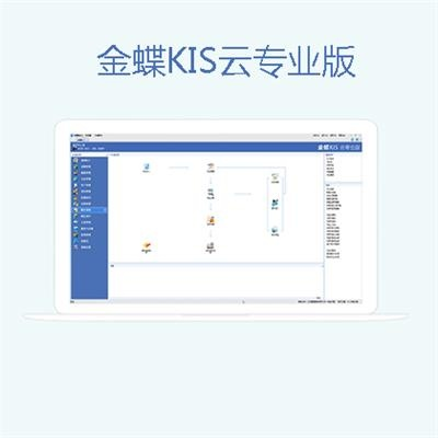 金蝶最新版本,专业解析说明|iPad_v3.190
