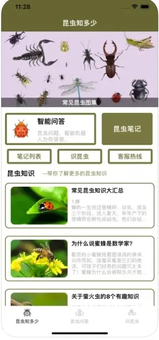 昆虫官方下载,最新解答解析说明&amp;高级款_v10.483