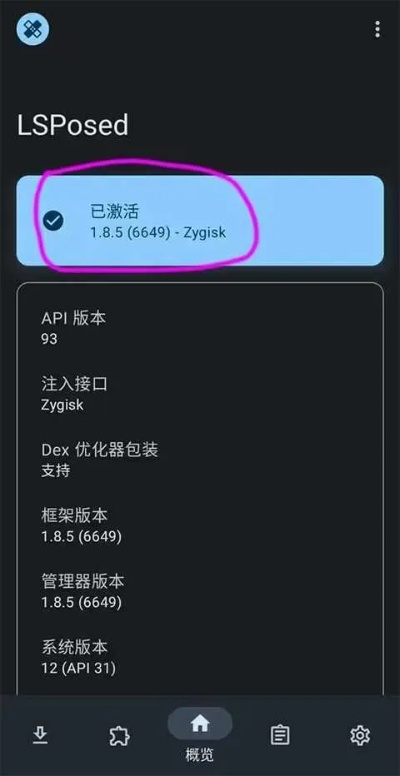 版本lsp,权威解读说明&amp;基础版_v10.456