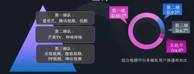 优酷不用手机验证版本,精细化策略定义探讨_扩展版_v1.693