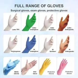 glove官方下载,实践解答解释定义 UHD_v4.501
