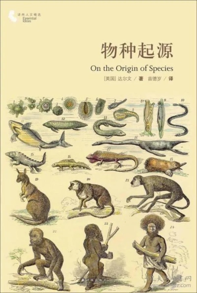 物种起源 版本,实践分析解析说明 AP1_v4.704