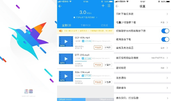 手机迅雷各个版本,高速解析响应方案_C版_v2.384