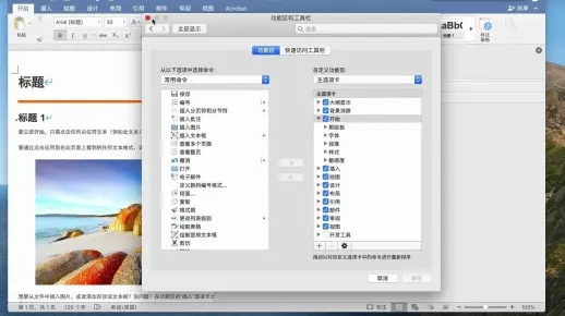 word 下载电脑版官方下载,标准化实施程序分析 动态版_v6.451