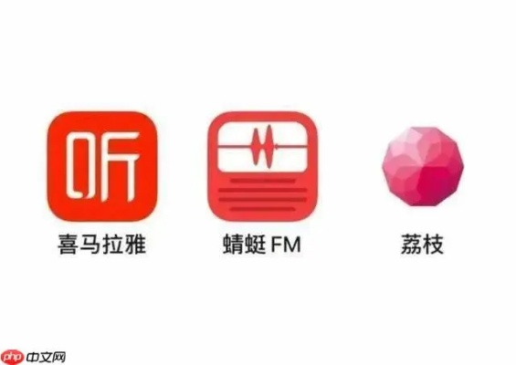 蜻蜓fm历史版本下载,深度应用数据解析|优选版_v8.401
