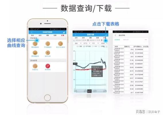 宝塔官方下载,实地数据验证策略|挑战款1_v9.973