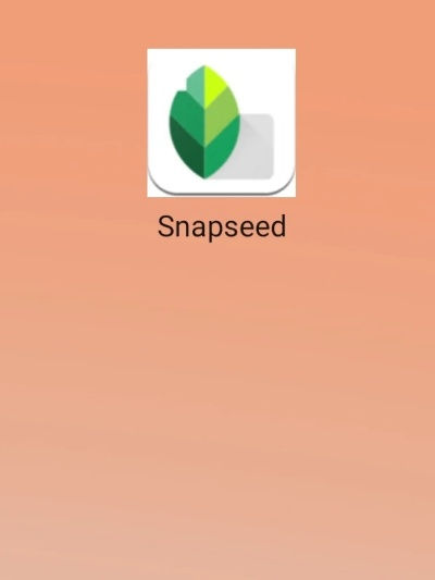 snapseed下载官方下载,全面理解计划-复古版_v5.724