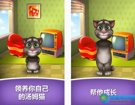 会说话的汤姆单机版跟微惠猫官方app下载,精细设计解析策略_钻石版1_v10.612
