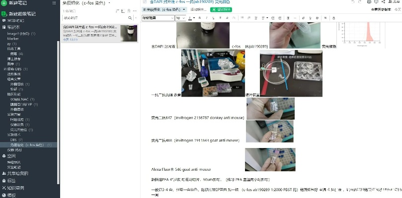 下马看花