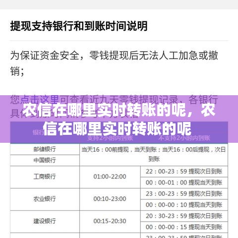 农信在哪里实时转账的呢，农信在哪里实时转账的呢 