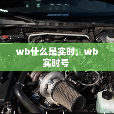 wb什么是实时，wb实时号 
