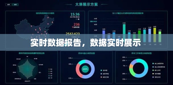实时数据报告，数据实时展示 