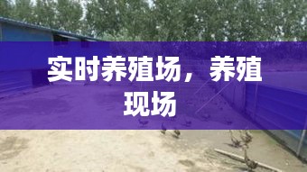 联系我们 第307页