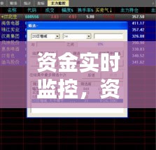 资金实时监控，资金监控软件 