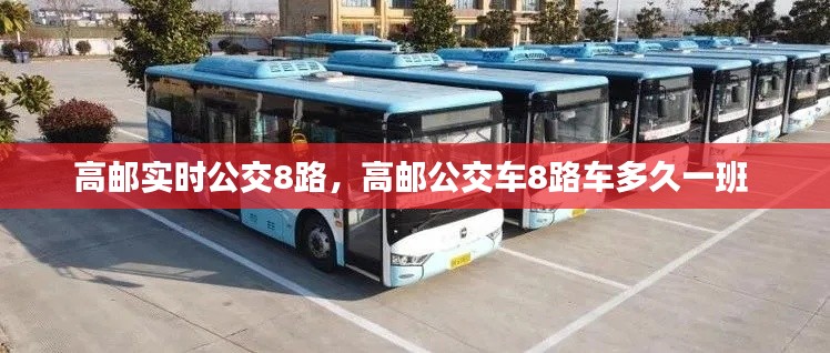 高邮实时公交8路，高邮公交车8路车多久一班 