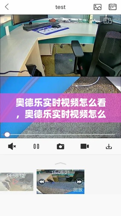 奥德乐实时视频怎么看，奥德乐实时视频怎么看的 