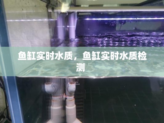 鱼缸实时水质，鱼缸实时水质检测 