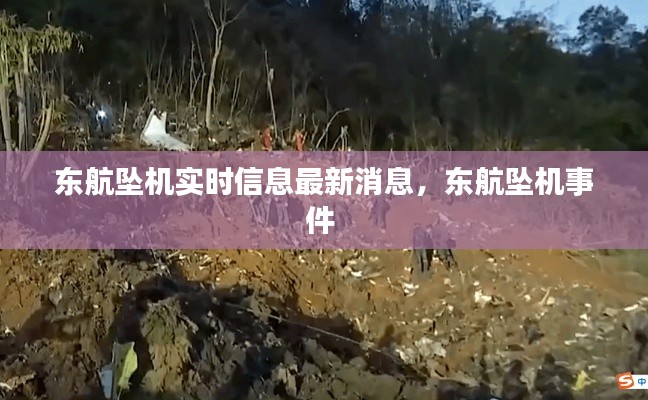 东航坠机实时信息最新消息，东航坠机事件 