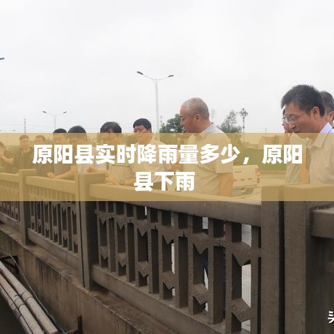 原阳县实时降雨量多少，原阳县下雨 