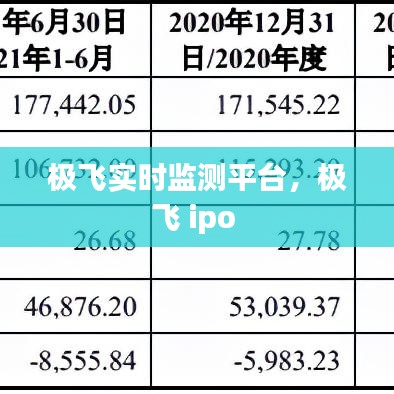 极飞实时监测平台，极飞 ipo 