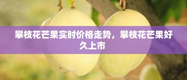 攀枝花芒果实时价格走势，攀枝花芒果好久上市 