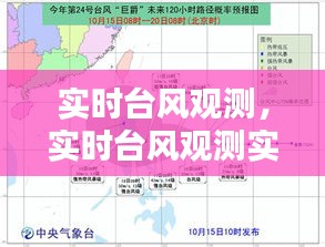 候鸟南飞 第4页