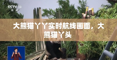 井底之蛙 第4页