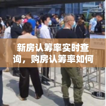 新房认筹率实时查询，购房认筹率如何计算 