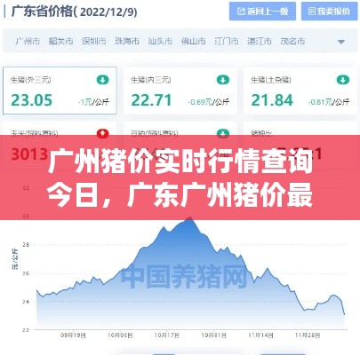 行业应用 第294页
