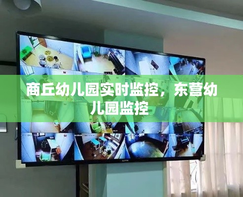 商丘幼儿园实时监控，东营幼儿园监控 