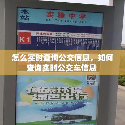 怎么实时查询公交信息，如何查询实时公交车信息 