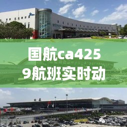 国航ca4259航班实时动态，国航ca4238航班动态 