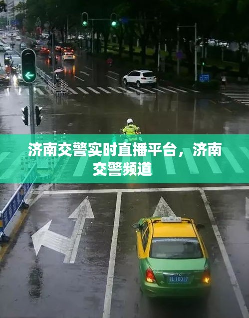 新闻动态 第293页