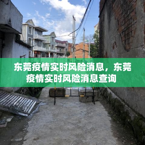 东莞疫情实时风险消息，东莞疫情实时风险消息查询 