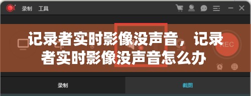 记录者实时影像没声音，记录者实时影像没声音怎么办 