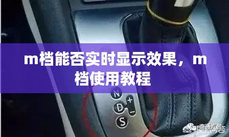 m档能否实时显示效果，m档使用教程 