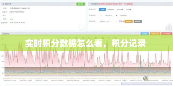 实时积分数据怎么看，积分记录 