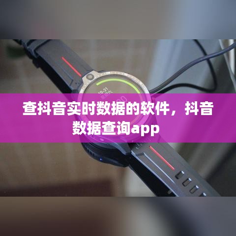 查抖音实时数据的软件，抖音数据查询app 