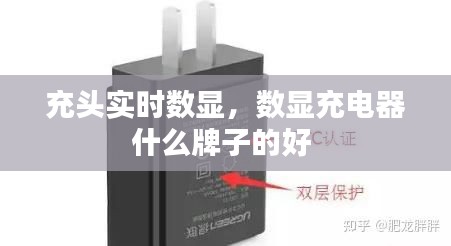 充头实时数显，数显充电器什么牌子的好 