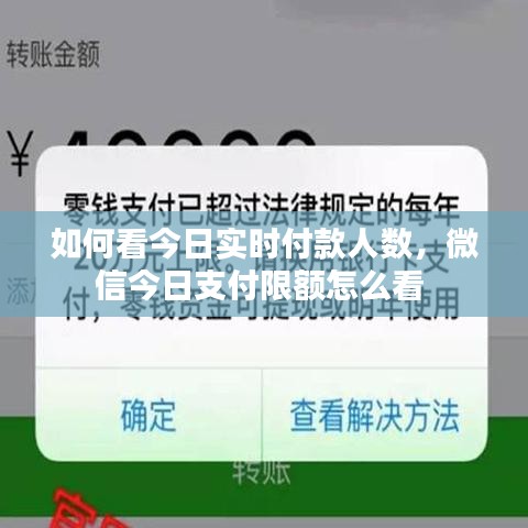 如何看今日实时付款人数，微信今日支付限额怎么看 