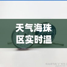 天气海珠区实时温度表图，天气 海珠 