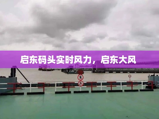 饭来张口 第3页