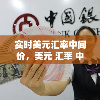 实时美元汇率中间价，美元 汇率 中间价 