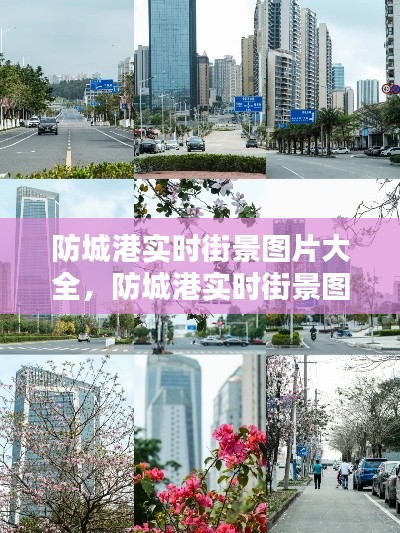 防城港实时街景图片大全，防城港实时街景图片大全集 