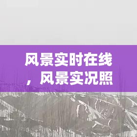 风景实时在线，风景实况照片 