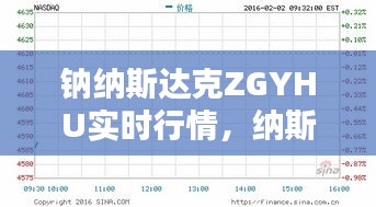 钠纳斯达克ZGYHU实时行情，纳斯达克最新消息 