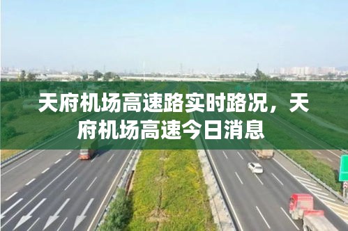 就楼磨刀 第4页