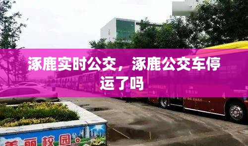 绰约多姿 第4页